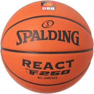 SPALDING-REACT-TF250.jpg