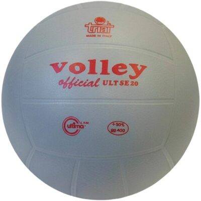 BOLA VOLEIBOL TRIAL LASTRADA 100% 540 GR T5 (Cópia)
