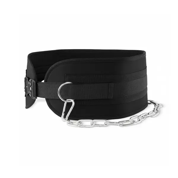DIP BELT