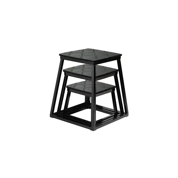 PLATAFORMA PLIOMETRICA (X3)